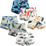 Adorel Jungen Unterhosen Baumwolle Boxershorts 6er-Pack Dino Paradies 116 (Herstellergröße 120)