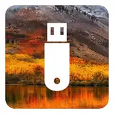 D-S Systems Installation-Bootstick kompatibel mit MacOS 10.13 High Sierra OS X Bootfähiger Bootable USB für Installation / Update / Downgrade