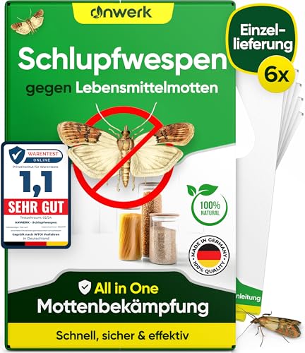 anwerk® Schlupfwespen gegen Lebensmittelmotten - 6 Karten à 1 Lieferung - Effektiv Lebensmittel Motten bekämpfen - Alternative zur Mottenfalle, Mottenspray, Pheromonfalle (6X Karten à 1 Lieferung)