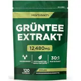 Grüntee Extrakt 12480 mg pro Tagesdosis | 120 Pulver Kapseln | Hochdosiert Green Tea | Vegane | von Horbaach