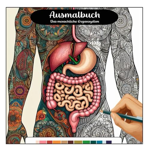 Ausmalbuch: Das Organsystem