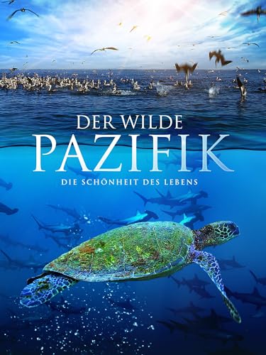 Der wilde Pazifik - Die Schönheit des Lebens