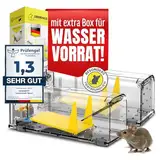 Heimwert Lebendfalle Maus Mausefalle 4erSet - mit Wasser Speicher + Köderbox + Ventilationsöffnungen - Mäuse Lebendfalle mit Quick Release Ausgang ohne Mäuse Kontakt I Mausefallen Lebendfallen Set (2)