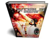 Techno World Grooves - the most useful - unique original Huge WAVE/Kontakt Multi-Layer Samples Library on DVD or download