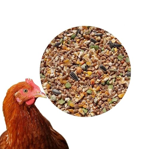 25 kg Premium Hühnerfutter Körnerfutter Plus Geflügelfutter für Hühner, Gänse, Enten - GVO frei Kükenfutter