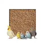 Kieskönig 10 kg Buchenholzgranulat Vogelsand Bodengrund Terrariensand Einstreu Terrariumsand Tiereinstreu Fein 1,0-2,5 mm