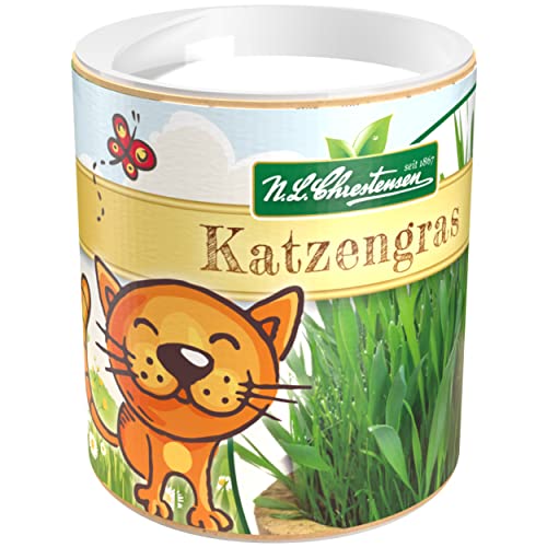 Premium Katzengras Samen Chrestensen Gartenkinder, Grassamen schnellkeimend mit Anleitung für Kinder, 1 Dose für ca. 2-2,5 m² Katzengras fertig gewachsen, Natürliche Katzen Leckerlies zu Hause