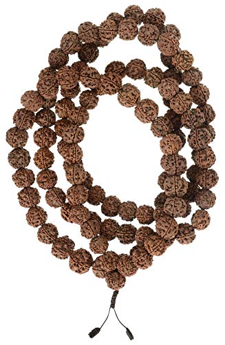 Mala aus Rudraksha beads - buddhistische Gebetskette mit 17 mm Perlen - Mala Rudras/Shiva