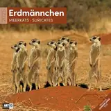 Erdmännchen 2025, Wandkalender / Broschürenkalender im Hochformat (aufgeklappt 30x60 cm) - Art12 - Geschenk-Kalender mit Monatskalendarium zum Eintragen