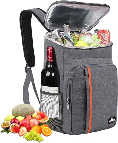 HEQUN 23L Kühlrucksack Thermo Rucksack Picknickrucksack Kühltasche Groß Isoliert Cooler Bag Perfekt für Picknicks, Strand Ausflüge, Wandern, Arbeiten &Familienausflüge (Grau)