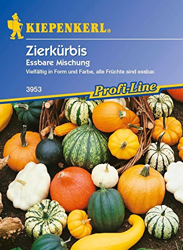 Kiepenkerl, Zierkürbis, Cucurbita pepo Essbare im Mix