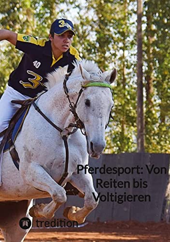 Pferdesport: Von Reiten bis Voltigieren