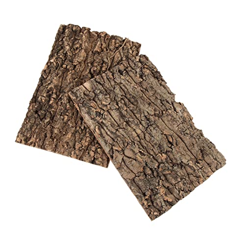 DOITOOL Terrarium Rückwand Kork, 2 Stück Champagnerrinde, 30 X 20 cm Natürliche Korkrinde Dekoration Für Reptilien Wie Schildkröte Gecko Bartagame