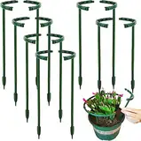 DONQL 20er Set Pflanzenstütze rund - 24x14cm, Strauchstütze aus Plastik - Verstellbarer Blumenhalter, Staudenstütze, Staudenhalter, Blumenstütze, Rankhilfe für Pflanzen Blumen Gemüse