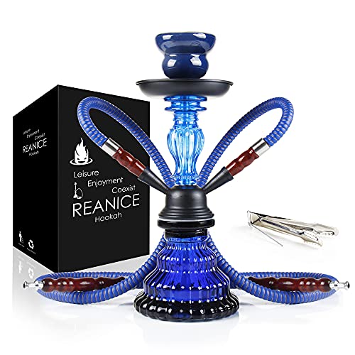 REANICE 11"Shisha Komplett Set Hookah mit 2 Schläuchen Wasserpfeifen blau rauchendes Glas Shisha mit Wärmemanagement-System