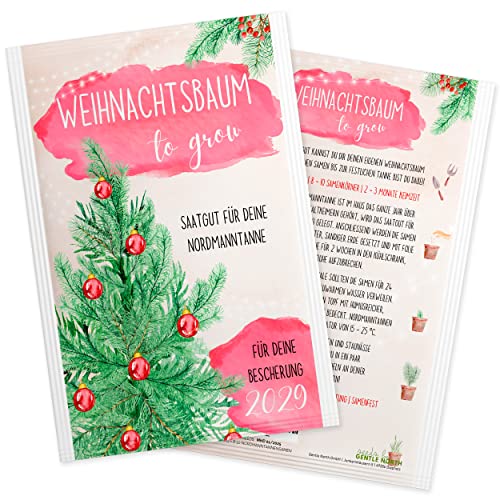 Nordmanntanne zum Pflanzen - Weihnachtsbaum Samen für dein Christbaum 2029 - Tannensamen als Adventskalender Füllung, Kleinigkeit zu Weihnachten oder Wichtelgeschenk für Frauen und Männer