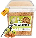 Mehlwürmer getrocknet 5 ltr. Insektensnack für Vögel, Fische, Schildkröten, Nager und Reptilien EWL Naturprodukte (800g)