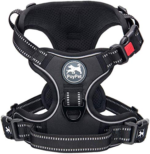 PoyPet Keine Pull Hundegeschirr Front Reflektierende Pet Weste für Hunde mit Einfache Kontrolle Griff und Rückseite perfekt für den täglichen Training, Walken, Running(Schwarz,M)