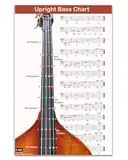 QMG Aufrechte Bassgrifftabelle mit farbcodierten Noten, Kontrabass-Diagramm für alle Ebenen, laminiert, Größe 27,9 x 43,2 cm