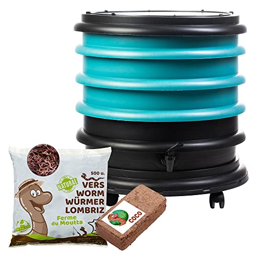 WORMbox | Wurmkomposter Wurmfarm Wurmkiste mit 3 Schalen Türkis + 250g Kompostwürmer / 500 STK + 1 Coco | 48 Liter | Regenwurmkomposter, Kompostwürmer produzieren Wurmhumus