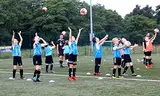 SPORTSBIBS Fußball Leibchen Set 10 Stück: 2 Farben - 5 von jeder Farbe, für Kinder und Erwachsene, Markierungshemd-Trainingsleibchen ohne Logo, Team-Spiel Bibs für Herren Damen Senioren Junioren