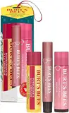 Burt's Bees geschenke für frauen | Lippenpflege-Geschenkset mit Granatapfel-Lippenbalsam, getöntem Lippenbalsam in Hibiscus und Lippenschimmer in Pfingstrose | Mistelzweigkuss