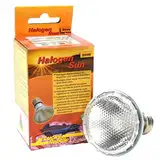 Lucky Reptile Halogen Sun - 50 W Wärmestrahler für E27-Fassungen - Halogenstrahler für Reptilien - Terrarium Lampe mit Tageslichtspektrum - Wärmelampe dimmbar - Zubehör Terrarium, 1 Stück (1er Pack)