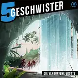 Die verborgene Grotte - Folge 46 (5 Geschwister, 46, Band 46)