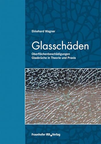 Glasschäden.: Oberflächenbeschädigungen, Glasbrüche in Theorie und Praxis.