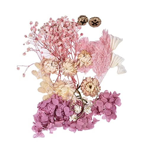 Keloc Getrocknete gepresste Blumen, Echte Trockenblumen für die Seifenherstellung, Dry Flower Natural Kit 10 Farben für Fotoalbum Rahmen Dekoration Kerzen Harzformen