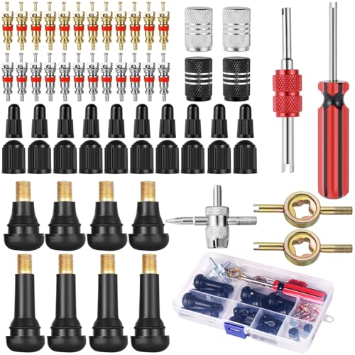 Ysimple 61 Stück Reifenventilentferner Ventil Reparatur, Ventilkern Reparatur Werkzeug mit Doppel und Einzelkopf Ventilkern, Autoventil Werkzeugkasten für Auto Motorrad Fahrrad Valve Core Tool Set