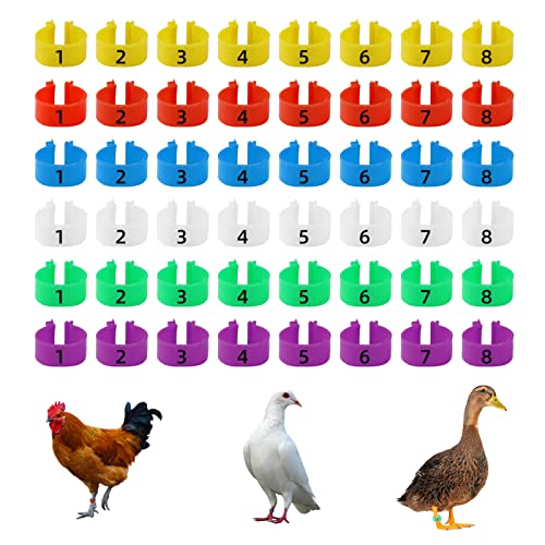 CYWVYNYT 48 Stück Hähnchen Beinringe Mehrfarbige Hähnchen Identifikation Beinbänder Nummerierter Clip an Geflügel Beinringen für Gamefowl Truthahn Ente Gans Guinea (18mm)