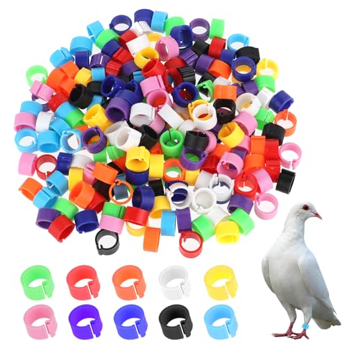 100 Stück Huhn Ring Geflügel Gühnerringe Fußringe Hühnchen Identifikation Beine Ringe, 8mm Klemmringe Chicken Tags für Legs Geflügel Bands Clip On Leg Rings für Hühner, Enten, Hühnchen, Goose