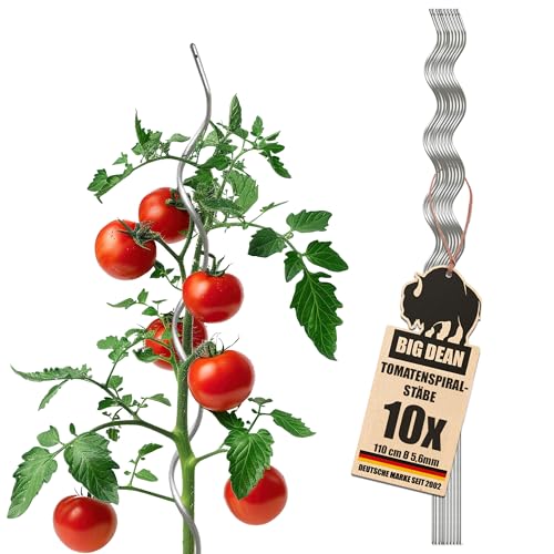 BigDean 10 Tomatenspiralstäbe 110cm voll verzinkt Tomatenstab Tomaten Ranke Pflanzstab Stahl Profi Qualität Tomatenspiralstab
