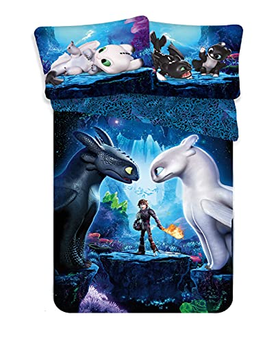 Theonoi Set 2 teilig Kinder Bettwäsche Bettbezug Wendebettwäsche 135x200 80x80 Baumwolle Kinderbettwäsche Öko-Tex Standard Deutsche Standardgröße (How to Train Your Dragon)