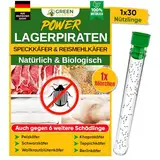 GREEN GUARDIA Lagerpiraten gegen Speckkäfer - 1 Röhrchen à 30 Nützlinge - effektiv Teppichkäfer, Pelzkäfer, Reismehlkäfer UVM. bekämpfen. Alternative zu Speckkäfer Falle & Teppichkäfer Falle