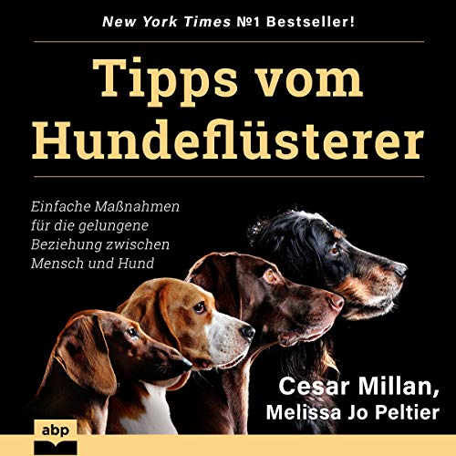 Tipps vom Hundeflüsterer: Einfache Maßnahmen für die gelungene Beziehung zwischen Mensch und Hund