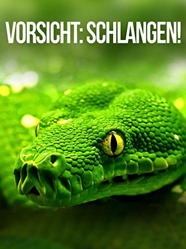 Vorsicht: Schlangen!