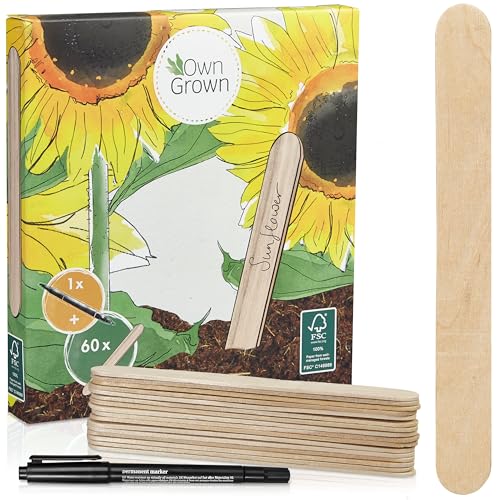 Holzschilder zum Beschriften - Holz Pflanzenschilder im Set mit 60x Pflanzschildern und Stift - Schöne Pflanzschilder wetterfest - Namensschilder aus Holz für Garten und Balkon von OwnGrown