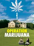 Operation Marijuana