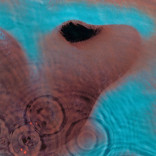 Meddle (2016 Edition) [Vinyl LP]