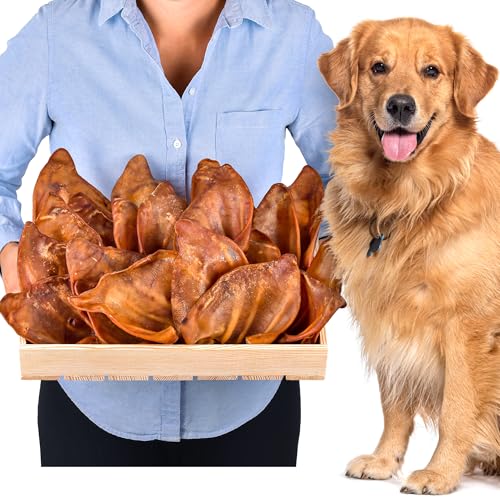 Schweineohren (20 stück) | Hunde leckerlis | Schweineohren Hunde | Leckereien für Hunde | Hundeknochen | Hunde kauartikel | Hundeknochen große Hunde