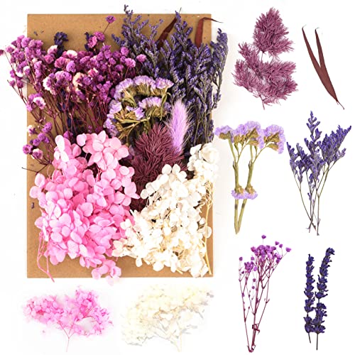 SOSPIRO Natürliche Getrocknete Blumen,Trockenblumen zum Basteln,Blumen Natürliche Gemischte,Getrocknete Blumen für Kunst Basteln DIY Harz Scrapbooking Handwerk Karten Machen