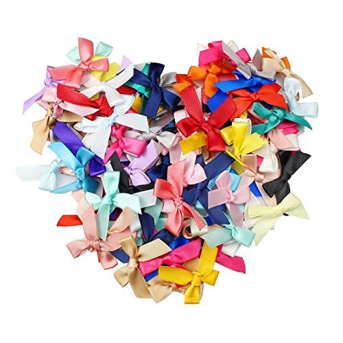 KAIAIWLUO Satin Schleifen,100 pcs Satinband Mini Schleifen zum Basteln Klein Schleifer für Hochzeit Geburtstagsfeier Dekoration Geschenkverpackung Bastelbedarf