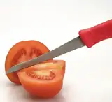 Tomatenmesser Tomaten Messer gezahnt besonders scharf 22cm