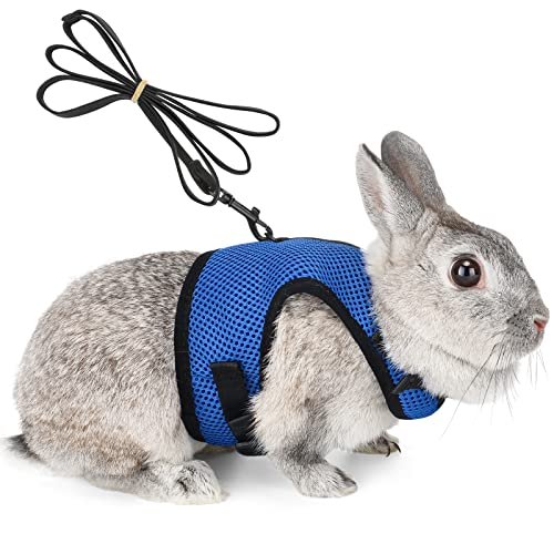 Verstellbares Weiches Katzengeschirr Kaninchen Geschirr mit Elastischer Leine für Kleines Tier Kitty Haustier Geschirr und Leine für Häschen Katze Little Pet Walking (L(Brust 28 -35cm), Blau)