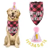 Amaxiu Hund Geburtstag Party Set, Junge Hund Geburtstag Bandana Hut mit 8 Bling Zahl Haustier Alles Gute zum Geburtstag liefert Glitter Hut Plaid Bandana für kleine mittlere große Hunde(Rosa)