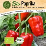 Little Plants BIO Paprika Samen 12 Paprikasamen Jubilandska Gemüsesamen für Gemüsegarten Samenfest Gemüse Samen für Küche, Balkon und Garten