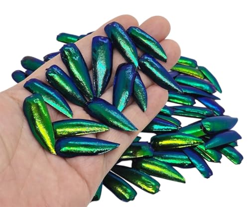 WitnyStore 100 Stück Smaragdgrün Juwel Käfer Flügel Abdeckung Elytra Elytron Einhundert Stücke Alle Natürliche Echte Langlebig Sternocera aequisignata Scherben für Schmuck Schneidern Maske Mozaics