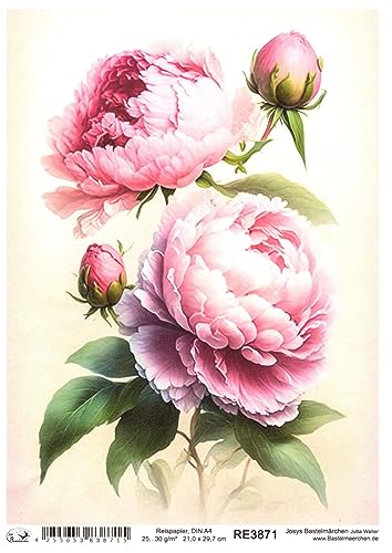 Josys Bastelmärchen Reispapier A4 Strohseide Decoupage rosa pink Blumen Pfingstrosen RE3871